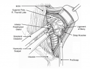 kandil-fig-2-v4