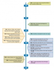 TOJ-timeline-figure-v2