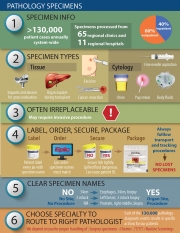 Pathology-Specimen-Infographic