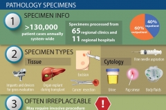 Pathology-Specimen-Infographic