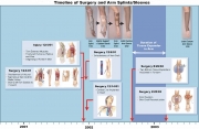 Timeline-K.-Hillery