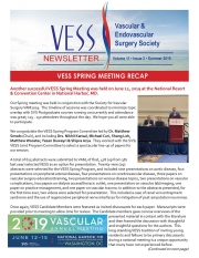 Vess-Final-Summer-issue-2019-v2_Page_1