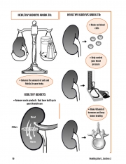 lindberg-HC-booklet_Page_3